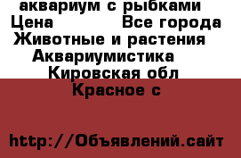 аквариум с рыбками › Цена ­ 1 000 - Все города Животные и растения » Аквариумистика   . Кировская обл.,Красное с.